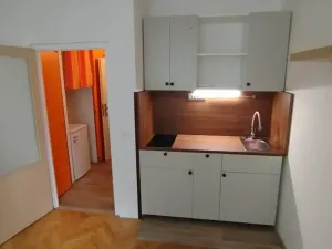 Pronájem bytu 1+kk, Brno, Halasovo náměstí, 22 m2