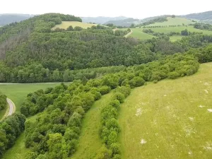 Prodej pozemku, Skorotice, 6028 m2