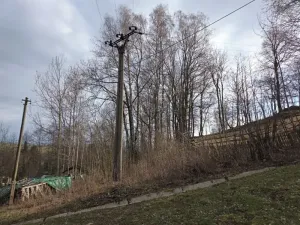 Prodej lesa, Rokytnice v Orlických horách, 3079 m2
