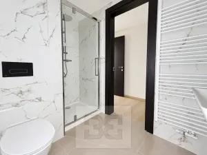 Pronájem bytu 1+kk, Olomouc, Třída Jiřího Pelikána, 35 m2