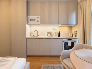 Pronájem bytu 1+kk, Brno, Bratislavská, 25 m2