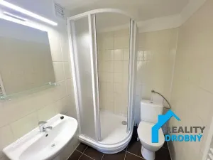 Pronájem bytu 1+kk, Děčín, Nerudova, 20 m2