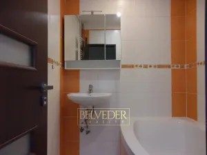 Pronájem bytu 2+kk, Novosedlice, Komenského, 54 m2