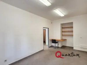 Pronájem obchodního prostoru, Praha - Žižkov, Hartigova, 45 m2