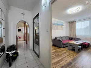 Prodej bytu 3+1, Brno, Pavlovská, 73 m2