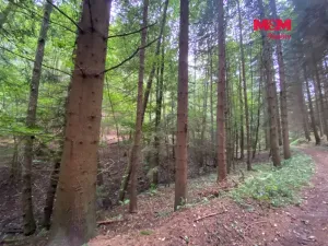 Prodej louky, Strážná, 2261 m2