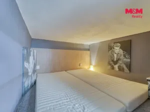 Prodej bytu 2+kk, Plzeň - Jižní Předměstí, Skrétova, 88 m2