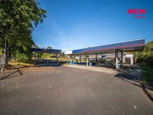 Prodej obchodního prostoru, Chudenín - Uhliště, 203 m2