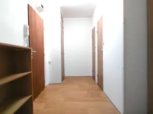 Pronájem bytu 1+1, Mladá Boleslav, U stadionu, 42 m2