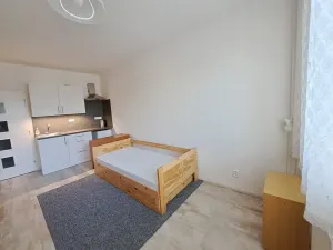 Pronájem bytu 1+kk, Zlín, Větrná, 27 m2