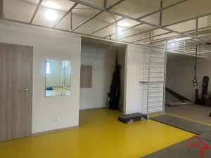 Pronájem ordinace, Napajedla, Dr. Beneše, 375 m2