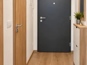 Prodej bytu 1+kk, Praha - Vysočany, Stejnosměrná, 28 m2