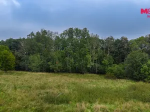 Prodej pole, Blíževedly - Hvězda, 38582 m2