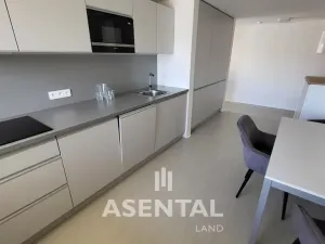 Pronájem bytu, Ostrava - Moravská Ostrava, Prokešovo náměstí, 143 m2