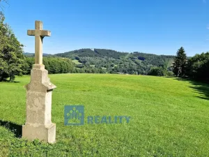 Prodej lesa, Trutnov - Babí, 44299 m2
