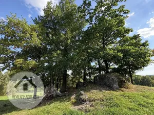 Prodej zahrady, Liberec, Ztracená, 5183 m2