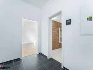 Prodej bytu 1+kk, Plzeň, Železná, 38 m2