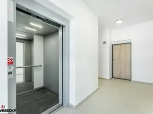 Prodej bytu 1+kk, Plzeň, Železná, 38 m2