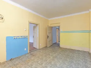 Prodej rodinného domu, Chotoviny, Hlinická, 215 m2