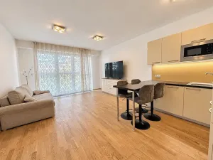 Pronájem bytu 1+kk, Praha - Žižkov, Olšanská, 37 m2