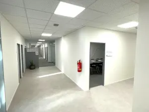Pronájem kanceláře, Praha - Holešovice, Dělnická, 1252 m2