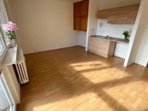 Pronájem bytu 1+kk, Frýdek-Místek, Bavlnářská, 29 m2
