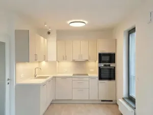 Pronájem bytu 2+kk, Praha - Karlín, Švarcova, 54 m2