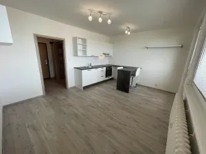 Pronájem bytu 1+kk, Praha - Chodov, Bachova, 25 m2
