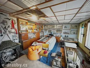 Dražba vícegeneračního domu, Krouna, 259 m2