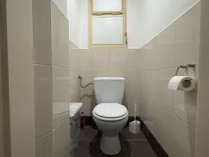Pronájem bytu 1+kk, Plzeň - Doubravka, Masarykova, 35 m2