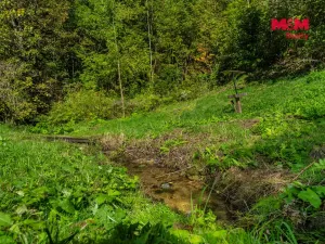 Prodej rodinného domu, Desná, U Trati, 430 m2