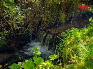 Prodej rodinného domu, Desná, U Trati, 430 m2