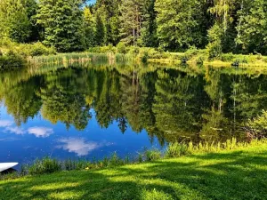 Prodej chalupy, Benešov nad Černou, 151 m2