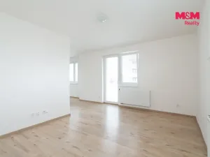 Pronájem bytu 1+kk, Plzeň - Litice, Vysoká, 38 m2