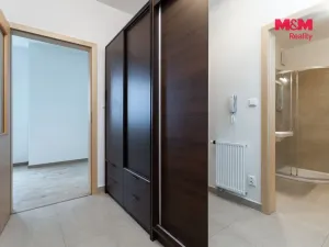 Pronájem bytu 1+kk, Plzeň - Litice, Vysoká, 38 m2