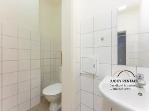 Pronájem obchodního prostoru, Praha - Karlín, Prvního pluku, 58 m2