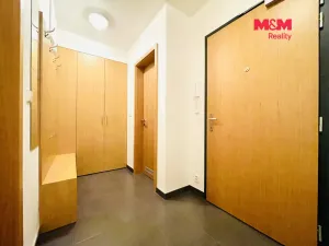 Pronájem bytu 1+kk, Praha - Michle, Hanusova, 38 m2