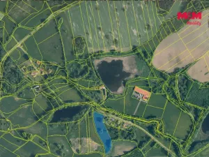 Prodej louky, Petrovice - Obděnice, 7011 m2