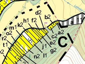 Dražba lesa, Chotěbudice, 155 m2
