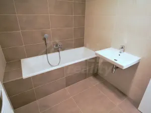 Pronájem bytu 2+kk, Praha, Davídkova, 60 m2