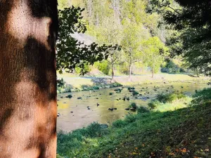 Prodej rodinného domu, Vír, 180 m2