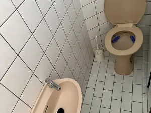 Prodej rodinného domu, Plavy, 200 m2