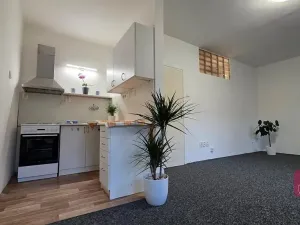Prodej bytu 1+kk, Olomouc, Norská, 39 m2