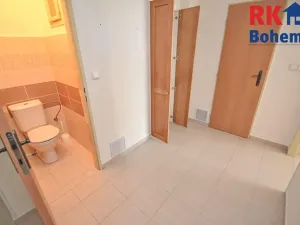 Pronájem bytu 2+kk, Praha - Nusle, Sdružení, 50 m2