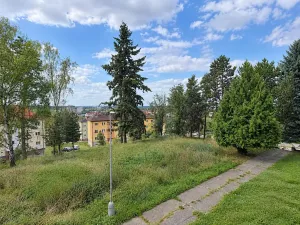 Prodej bytu 1+1, Havlíčkův Brod, Žižkov II, 25 m2