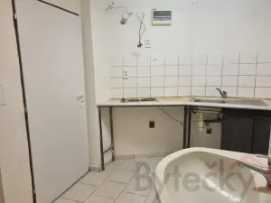 Pronájem bytu 1+1, Praha - Strašnice, Srbínská, 24 m2