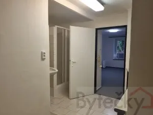 Pronájem bytu 1+1, Praha - Strašnice, Srbínská, 24 m2