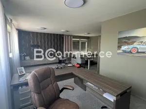 Pronájem obchodního prostoru, Pohořelice, 3700 m2