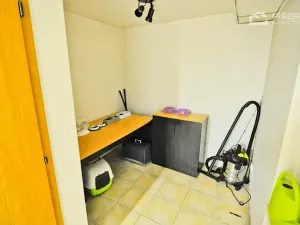 Pronájem bytu 2+kk, Lešná, 120 m2