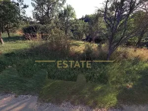 Prodej louky, Medlovice, 2466 m2